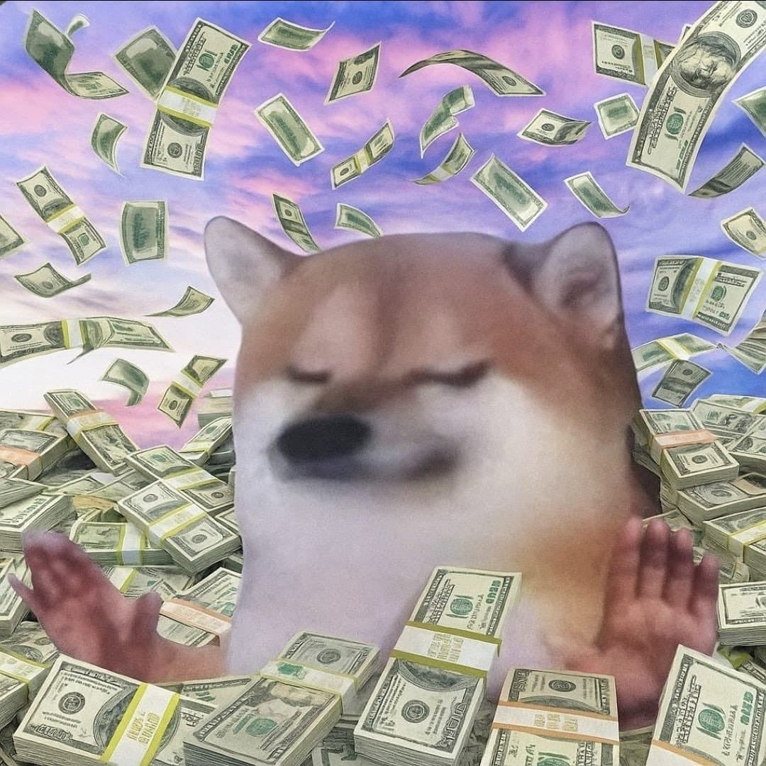 bro sitting in a pile of cash