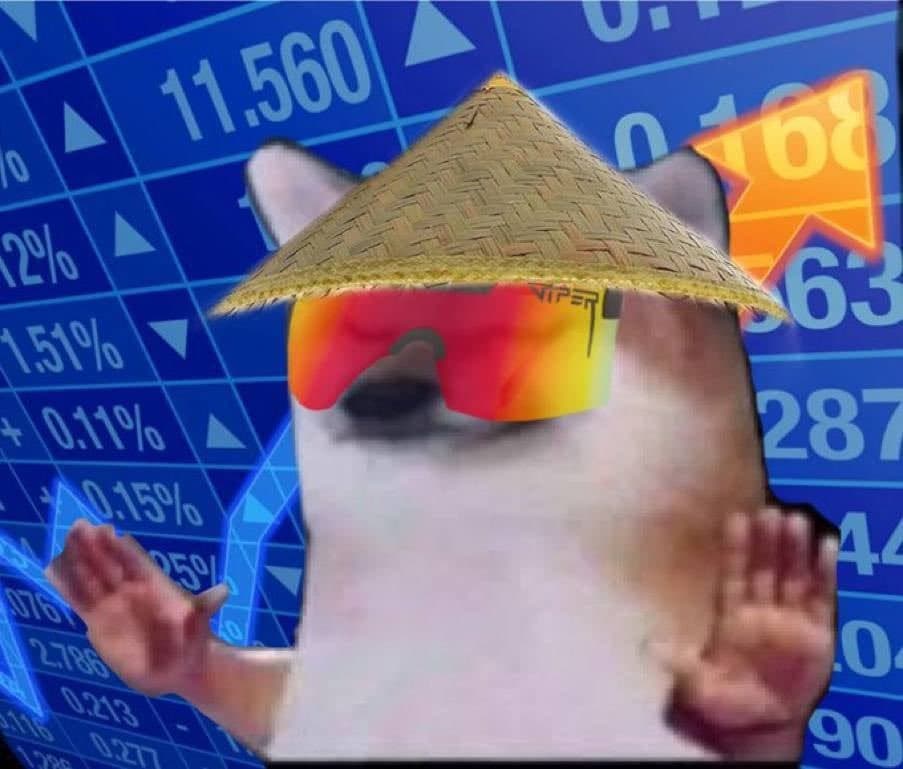 bro in a straw hat against a green board